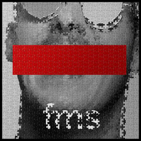 FMS by Phace Cover Art