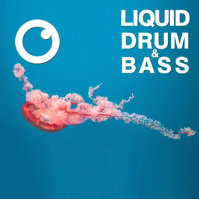 Liquid Drum & Bass Sessions 2020 Vol 27 : The Mix by Dreazz Cover Art
