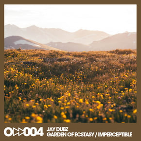 Garden of Ecstasy / Imperceptible by Jay Dubz Cover Art
