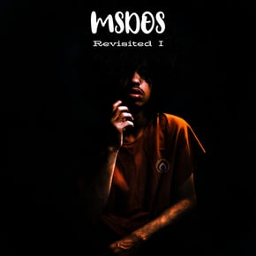 Revisited I by Dan Guidance & MSDOS Cover Art