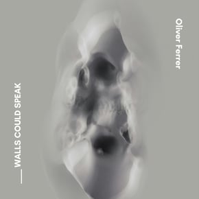 Walls Could Speak by Oliver Ferrer Cover Art