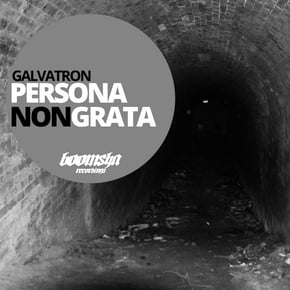 Persona Non Grata by Galvatron Cover Art