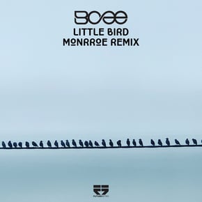 Little Bird (Monrroe Remix) by Monrroe Cover Art