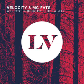 We Gotcha Junglist / Hide & Seek by Velocity Cover Art