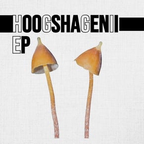Hoogshagenii EP by Atlantic Connection Cover Art