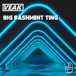 Big Bashment Ting by Veak Cover Art