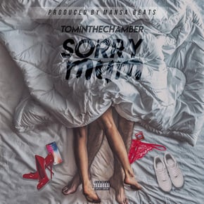 Sorry Mum by TomInTheChamber Cover Art