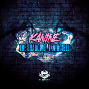 The Shadows / Invincible by Turno & Kanine Cover Art