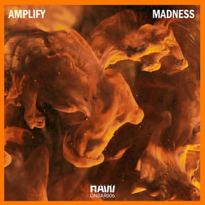 Madness by Capone, Amplify & DnB Allstars Cover Art