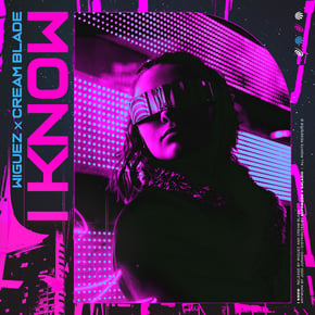 I Know by Wiguez Cover Art