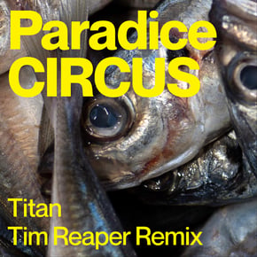 Titan - Tim Reaper Remix by Tim Reaper Cover Art