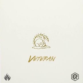 Veteran by Pe:te & Rohaan Cover Art