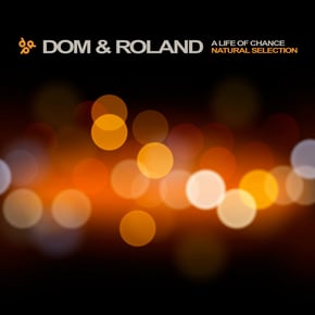 A Life of Chance / Natural Selection by Dom & Roland Cover Art