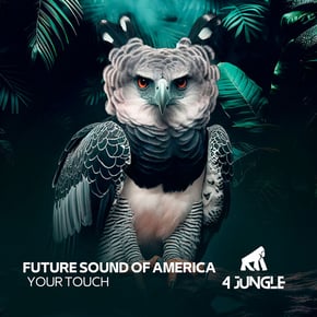 Your Touch by Future Sound Of America Cover Art