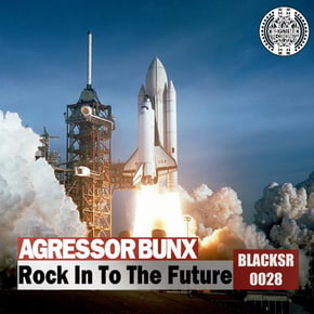 Rock In To The Future by Agressor Bunx Cover Art