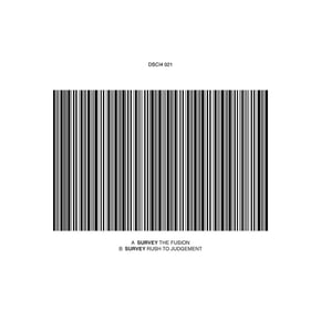 Rush To Judgement / The Fusion by Survey & Theory Cover Art
