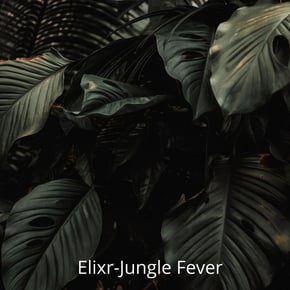 Jungle Fever by Elixr & Toddlah Cover Art