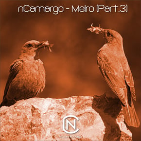 Melro, Pt. 3 by nCamargo Cover Art