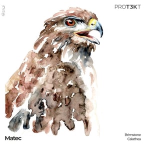 Brimstone/Calathea by Matec Cover Art