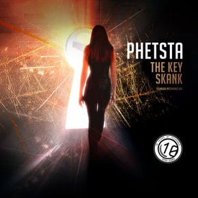 The Key / Skank by Phetsta Cover Art