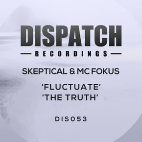 Fluctuate / The Truth by Skeptical Cover Art