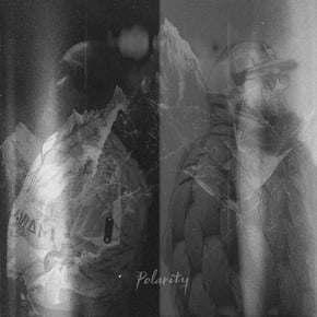 Polarity by Dogger Cover Art