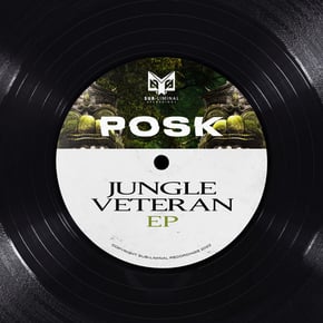 Jungle Veteran EP by Posk & Stakka Cover Art