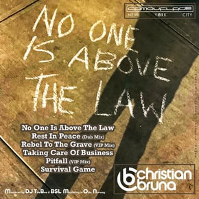 No One Is Above The Law by Christian Bruna Cover Art