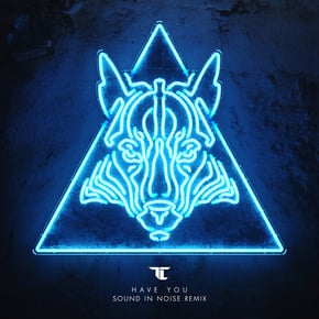 Have You (Sound in Noise Remix) by TC & Sound In Noise Cover Art