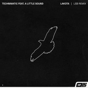 Lakota (LSB Remix) by Technimatic & LSB Cover Art