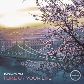 I Like U / Your Life by Indivision Cover Art