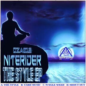 The Style by Niterider Cover Art