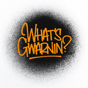 What's Gwarnin? by Fracture Cover Art