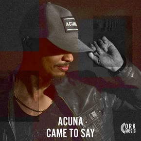 Came To Say by Acuna Cover Art