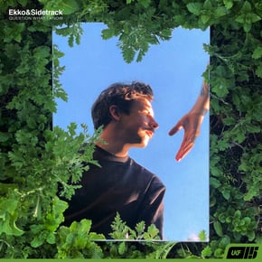 Question What I Know by Ekko & Sidetrack Cover Art