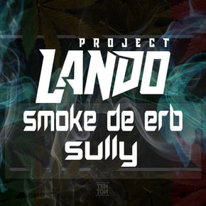 Smoke de Erb | Sully by Project Lando Cover Art