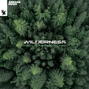 Wilderness by Krakota Cover Art