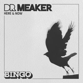Here & Now by Dr Meaker Cover Art