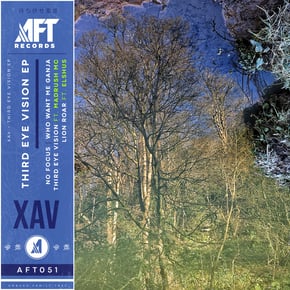 Third Eye Vision EP by Xav Cover Art