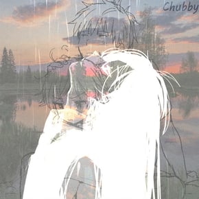 I Won't See You Again by Chubby Cover Art