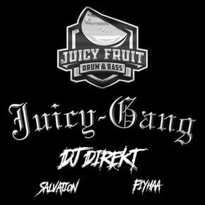 Juicy Gang 004 by DJ Direkt Cover Art