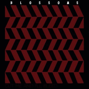 Cut Me and I'll Bleed by Chase & Status & Blossoms Cover Art
