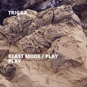 Beast Mode / Play Play by Trigga Cover Art