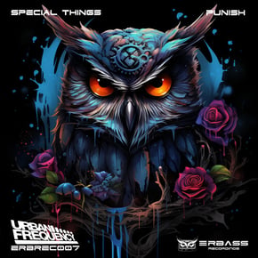 Punish / Special Things by Urban Frequency Cover Art
