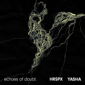 echoes of doubt. by HRSPX Cover Art