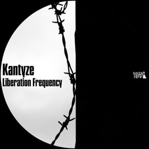 Liberation Frequency EP by Kantyze Cover Art