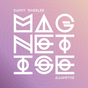 Magnetise by Danny Wheeler Cover Art