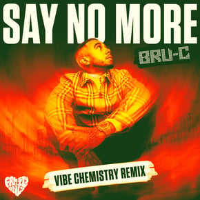 Say No More (Vibe Chemistry Remix) by Bru-C Cover Art