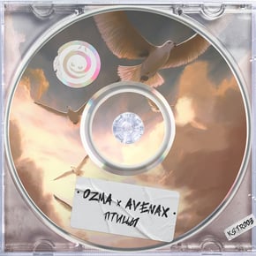 Птицы by Ozma & DJ Ink Cover Art