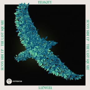 Sunny Side Up / The Last Square by Velocity Cover Art